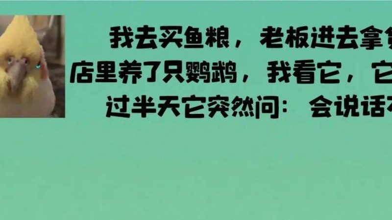 调味品保质期差异解析：揭秘不同种类背后的秘密